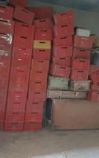 سبد پرورش میلورم