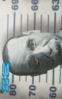 فیزیک و شیمی خیلی سبز تجربی