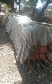 جاشیر شرین محصوص دام فقط
