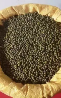 ماش