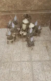 لوستر برنز