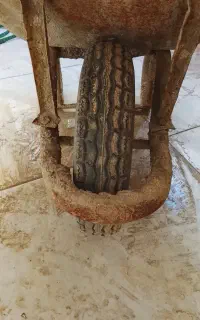 فرغون