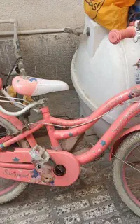 دوچرخه دخترانه سایز20