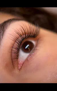 اموزش تخصصی کاشت ،اکستنشن، لیفت مژه ابرو کره ای