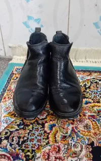 کفش مجلسی