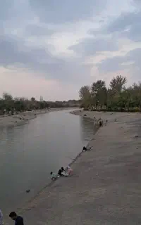 راهنمایی کنید لطفا