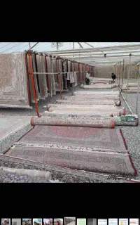کارگر برای قالیشویی