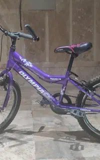 دوچرخه المپیا در حد نو (استفاده نشده)