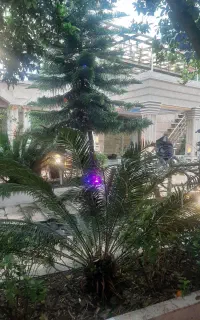 درخواست نیرو جهت کار در رستوران