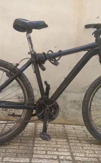 دوچرخه اورلورد