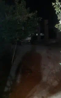 کارواش