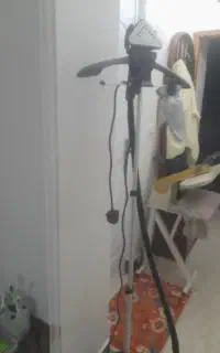 اتو بخار استاده