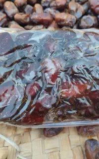 خرمای کبکاب