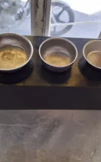 قالب تست