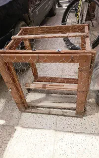 قفس