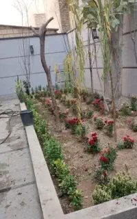 خدمات باغبانی گل کاری ارسکاری و تعویض خاک گلدون