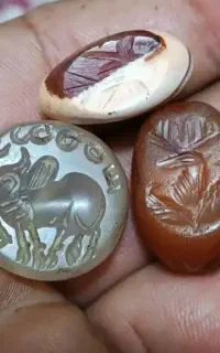فروشی هستم فقط در استان گلستان