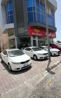 انواع ماشین لوکس و اوکونومی به قیمت تر از همه جا