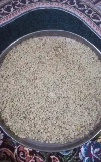 عدس محلی مختار دون درشت درجه 1