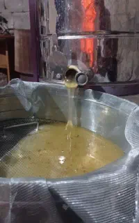 عسل طبیعی گون برداشت اول