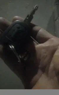 پیداشده