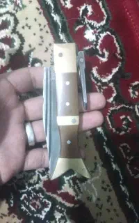 چاقو دم ماهی