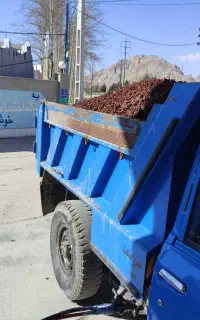 پوکه  ماسه نخودی بادمی تو شهر شهرستان  روستاها
