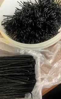 سنجاق شینیون