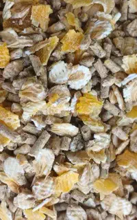 خوراک آجیلی کیفیت درجه یک