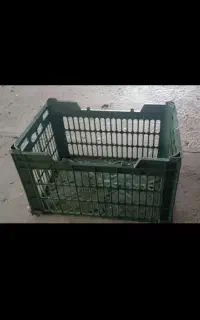 سبد انگور