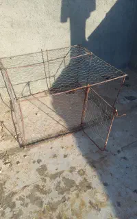 قفس پرنده