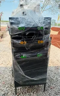 بلال تنوری