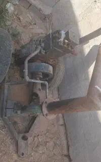 مارگو