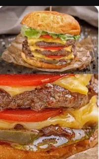 انواع ساندویچ ،واویشگا ضیابری