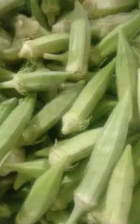 بامیه درجه یک سرپل ذهاب