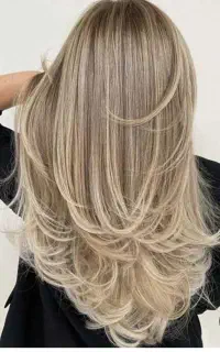کوتاهی ژورنالی با ماشین و براشینگ