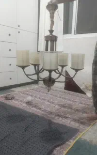 لوستر درحدنو