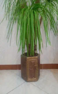 درخچه نخل مصنوعی