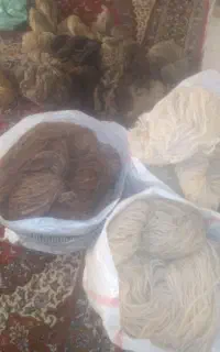 همی الان ب نقد