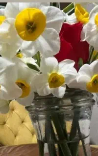مهره برد قدیمی