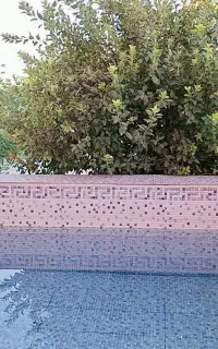 اجاره ویلا استخر دار