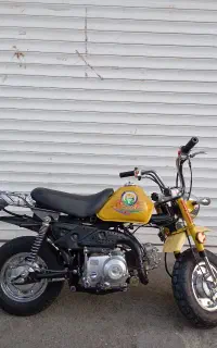 مینی کویردرحدصفر