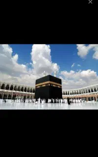 دوعدد فیش تمتع