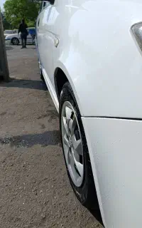 ساینا معمولی مدل ۹۶