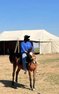 اسب مادیان یکسر