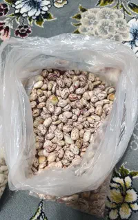 فروش لوبیا چیتی و سفید