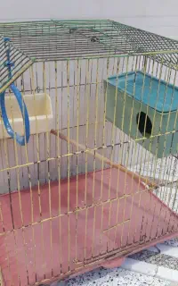 قفس پرنده