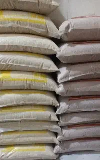 خاک گربه
