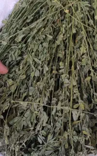 یونجه و علوفه خشک