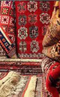 کارخانه قالیشویی و مبل شویی آوا